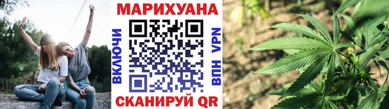 Бошки марихуана Amnesia  блэк спрут ссылки  Снежногорск  где продают наркотики 